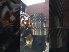 12 モジュール シングルヘリカル・トランスミッションギア 76 ギアボックスの歯